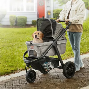 Foldable Pet Stroller Tips for Small to Medium Dogs